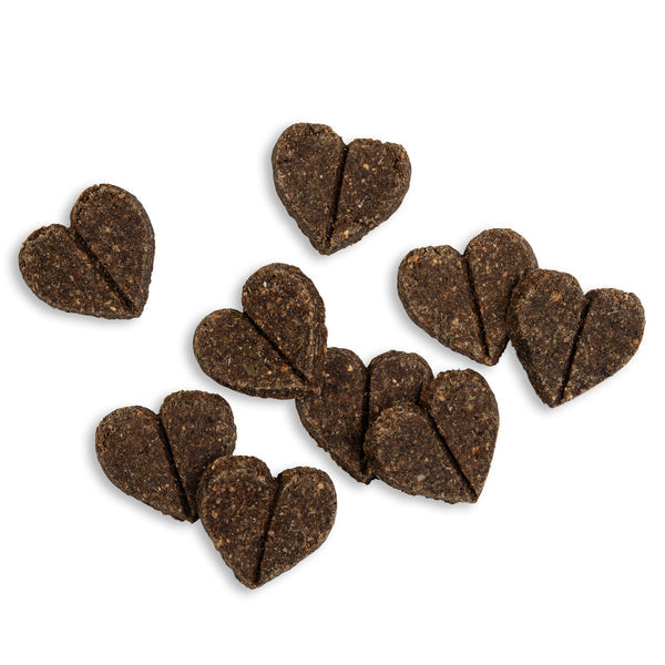 Forthglade Natural Soft Bites Lamb Dog Treats 90g