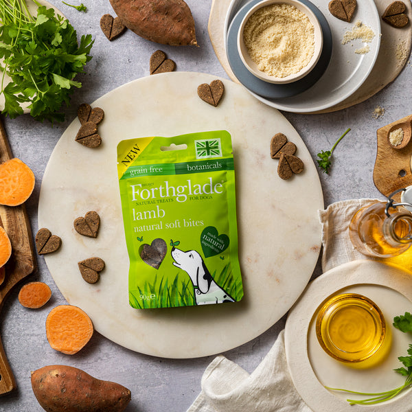 Forthglade Natural Soft Bites Lamb Dog Treats 90g