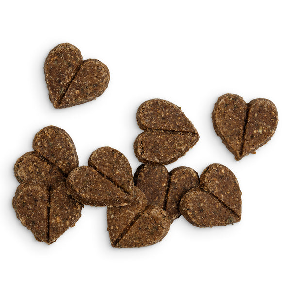 Forthglade Natural Soft Bites Turkey Dog Treats 90g