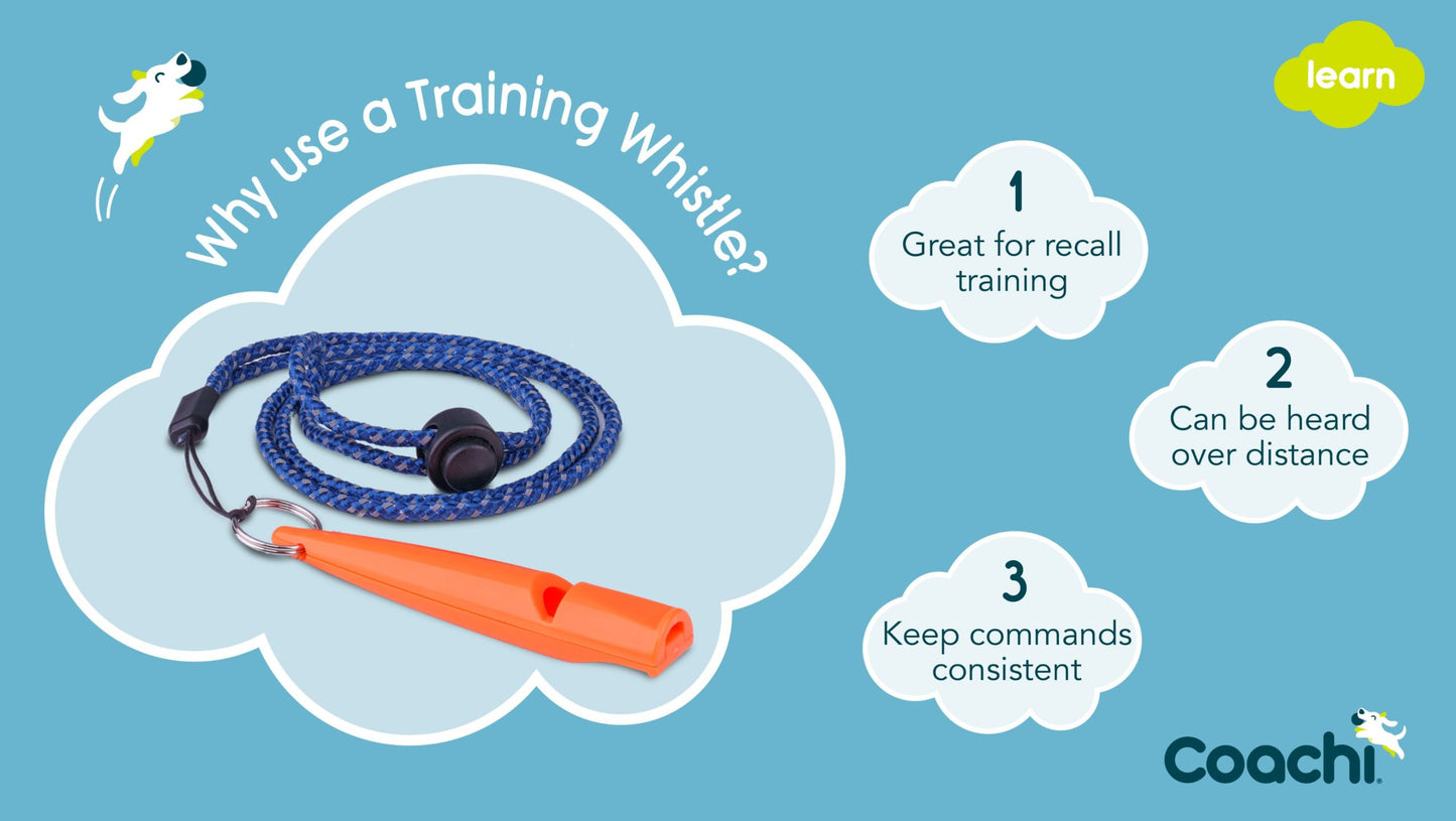 Coachi Training Whistle Navy