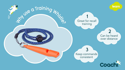 Coachi Training Whistle Navy