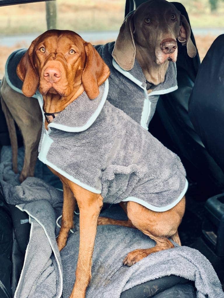 Henry Wag Microfibre Dog Drying Coat