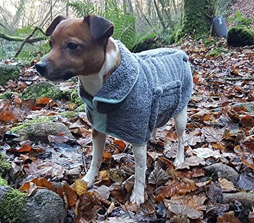 Henry Wag Microfibre Dog Drying Coat