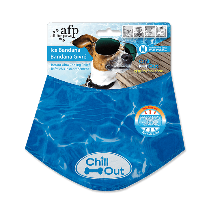 All For Paws Chill Out Ice Bandana