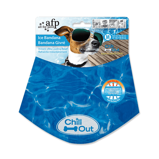 All For Paws Chill Out Ice Bandana