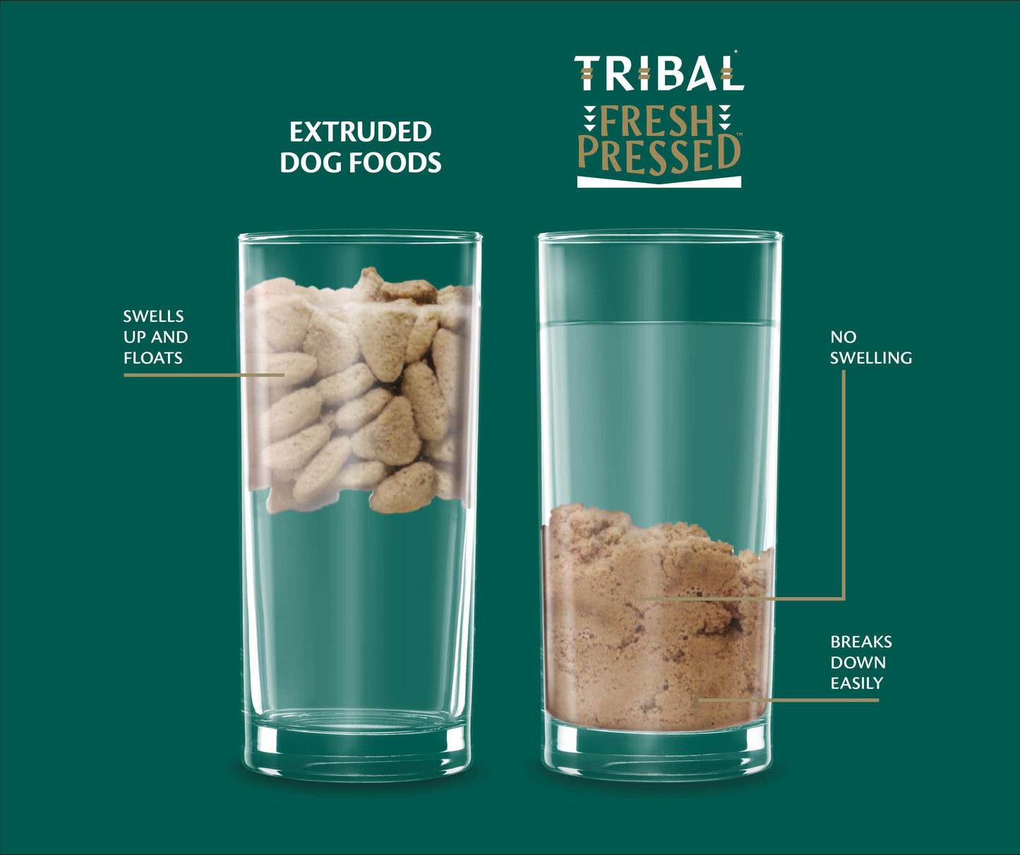 Tribal Fresh Pressed Salmon Dry Dog Food