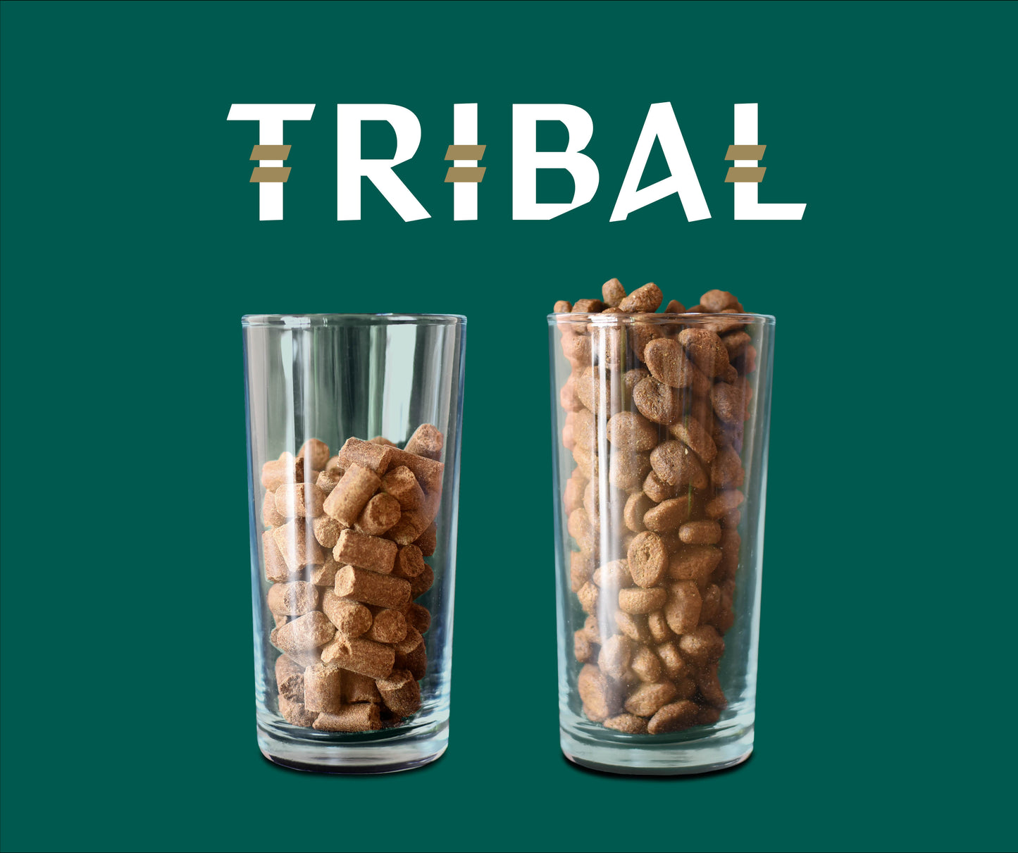 Tribal Fresh Pressed Salmon Dry Dog Food