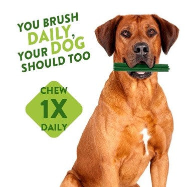 Whimzees Toothbrush Chew