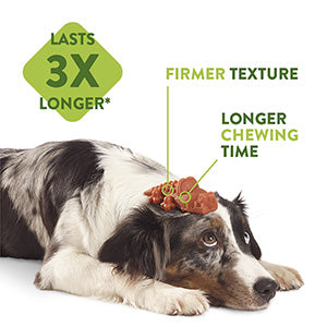Whimzees Toothbrush Chew