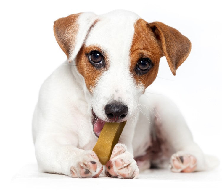 Yakers Dog Chew