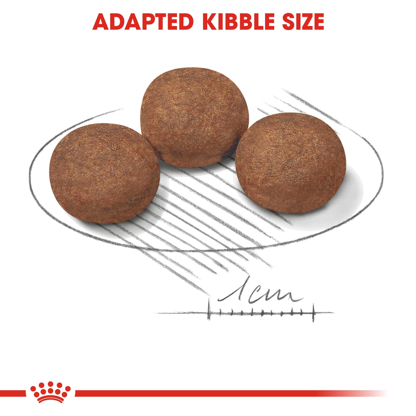 Royal Canin Medium Puppy Dry Dog Food