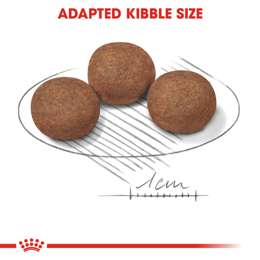 Royal Canin Medium Puppy Dry Dog Food