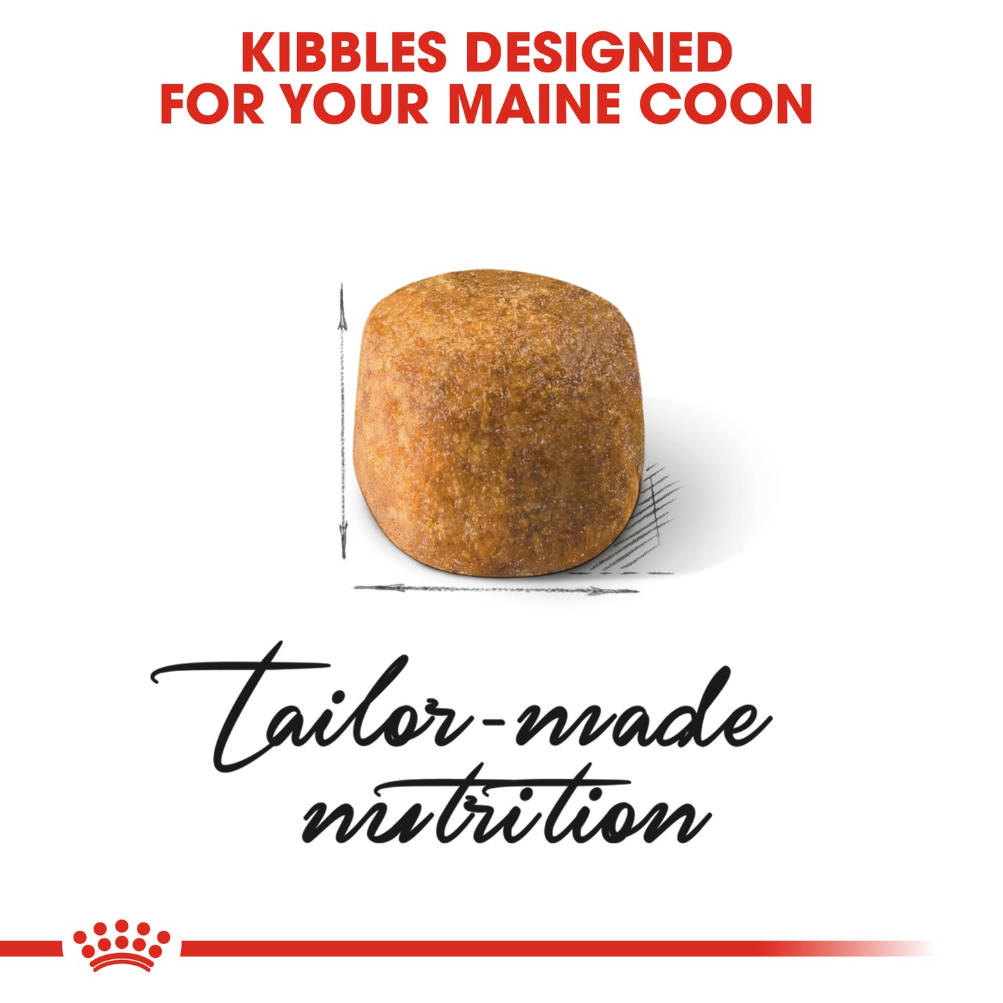 Royal Canin Maine Coon Dry Cat Food
