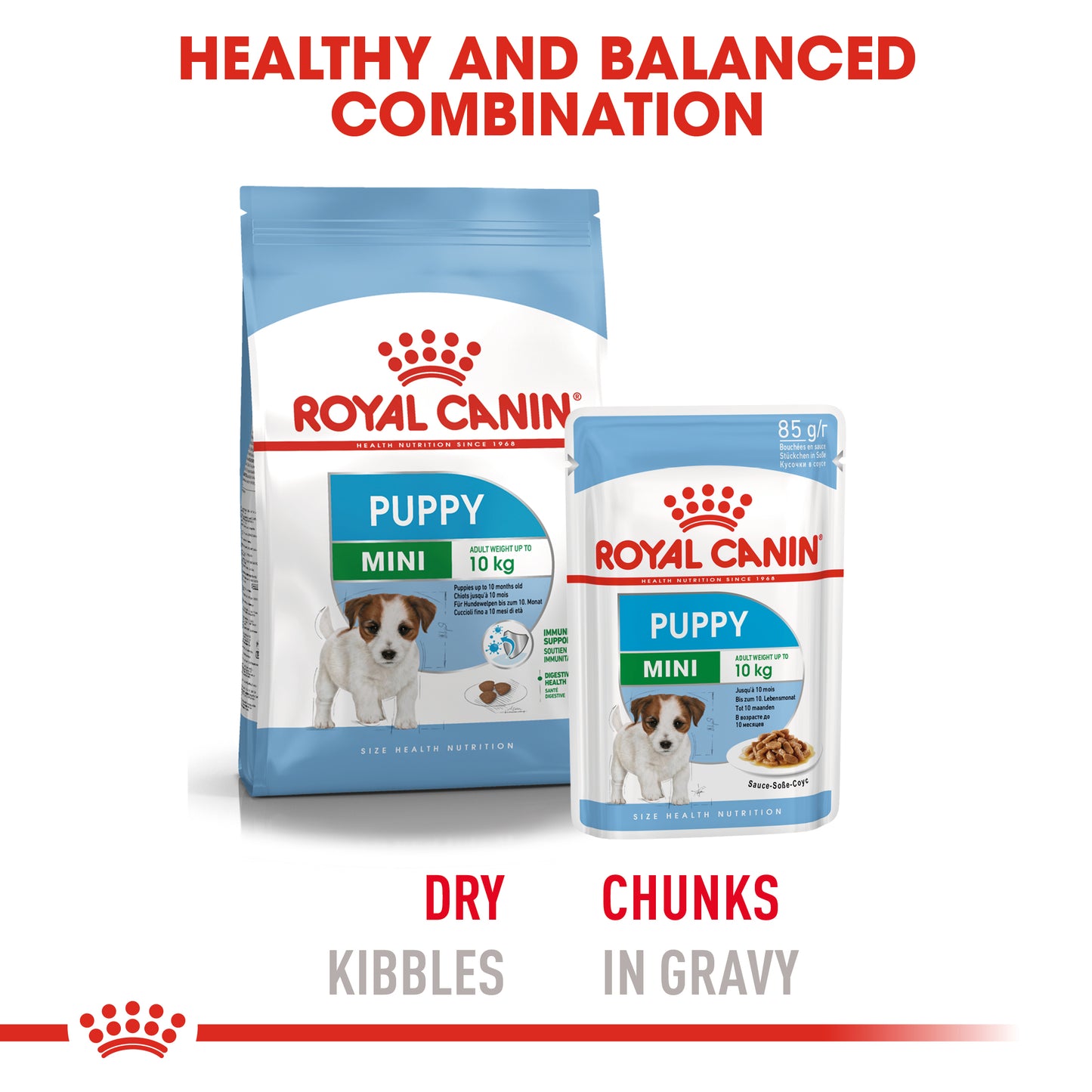 Royal Canin Mini Puppy Dry Dog Food