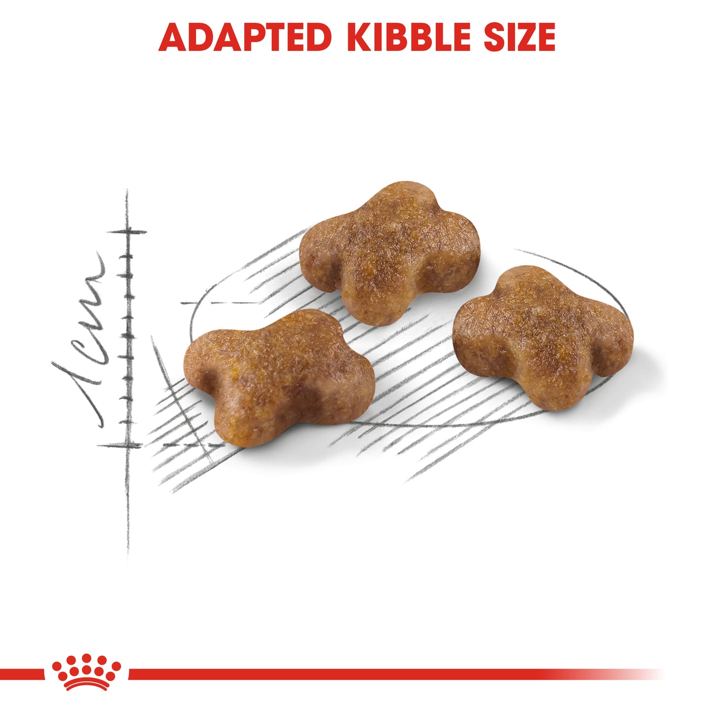 Royal Canin Kitten Dry Cat Food
