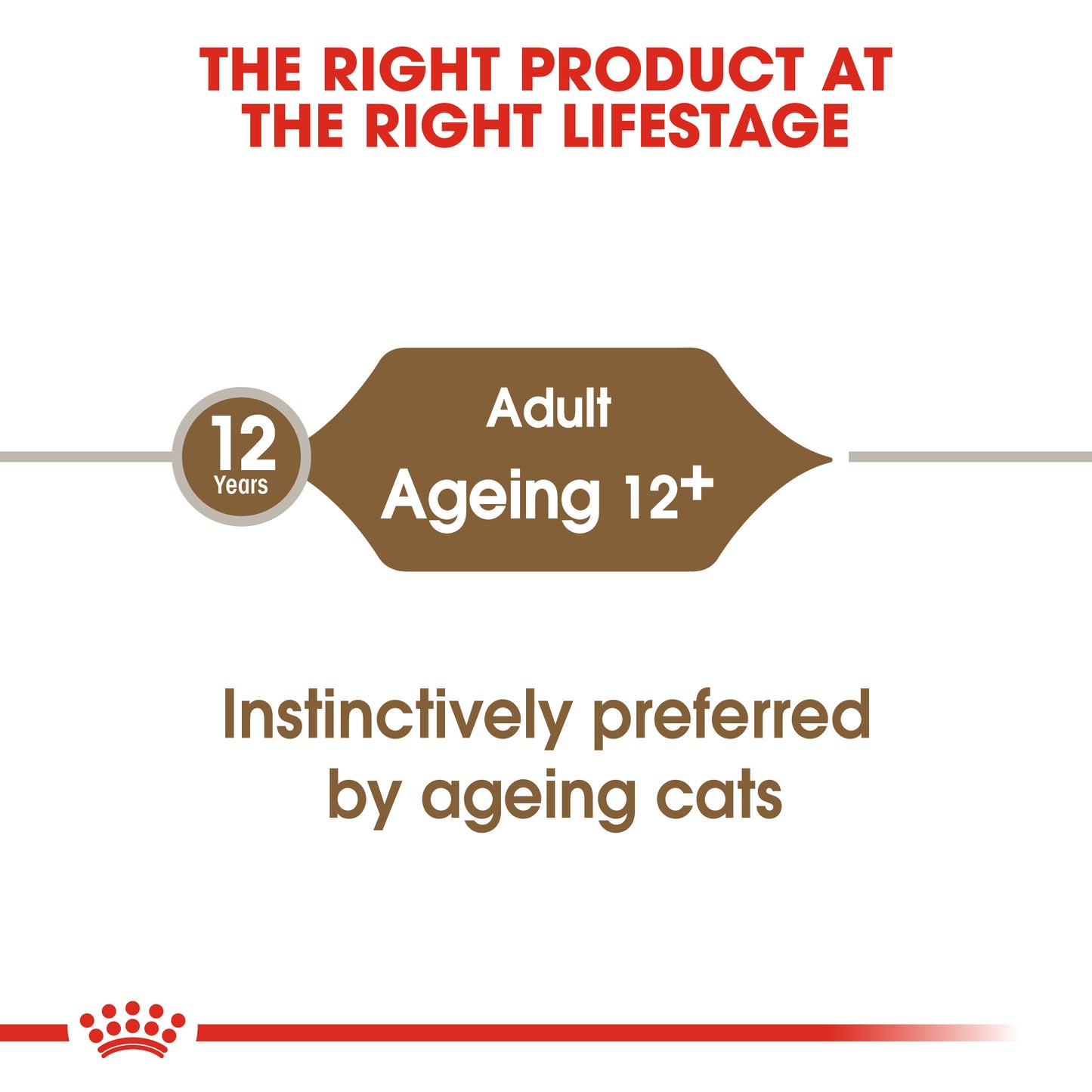 Royal Canin Ageing 12+ in Gravy Wet Cat Food Pouches 12 x 85g