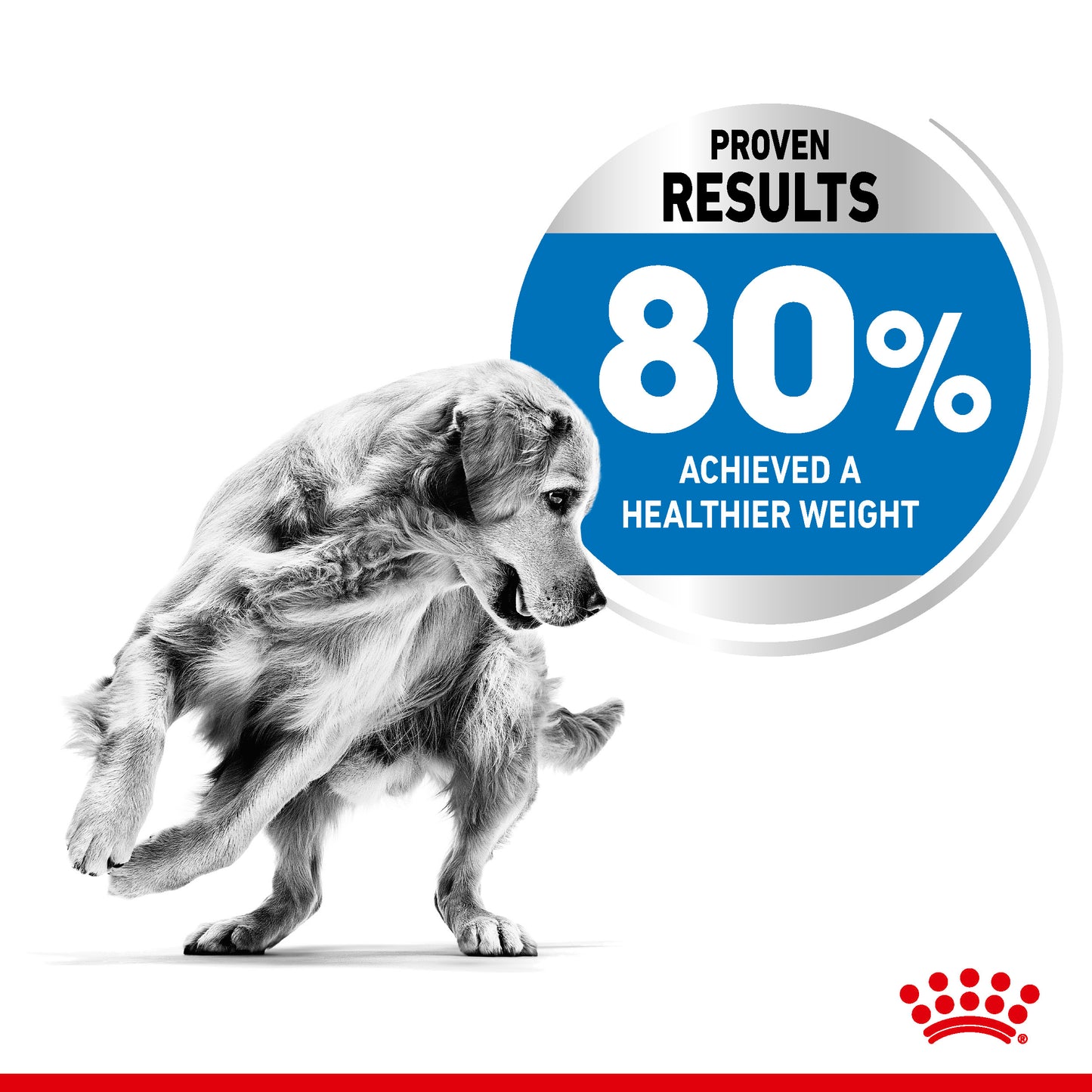 Royal Canin Medium Light Weight Care Dry Dog Food