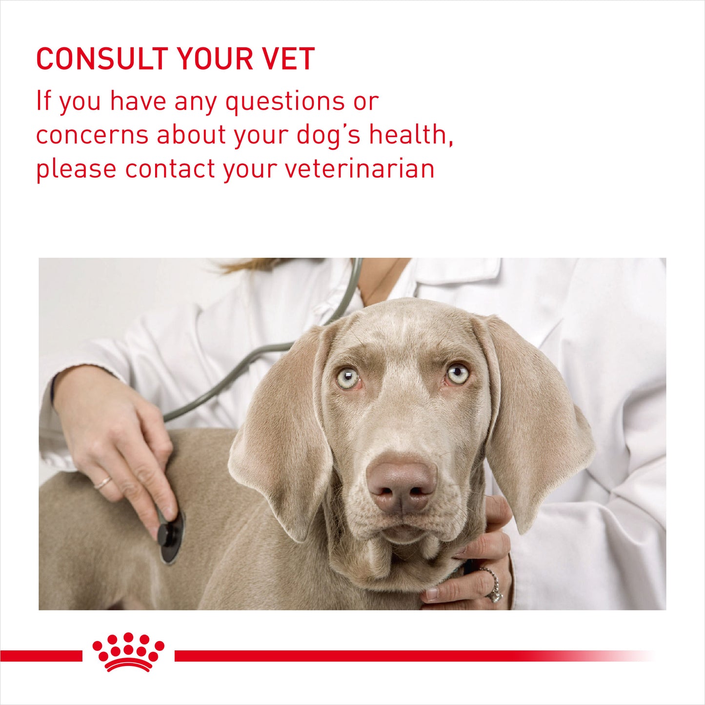 Royal Canin Medium Light Weight Care Dry Dog Food