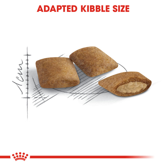 Royal Canin Ageing 12+ Dry Cat Food
