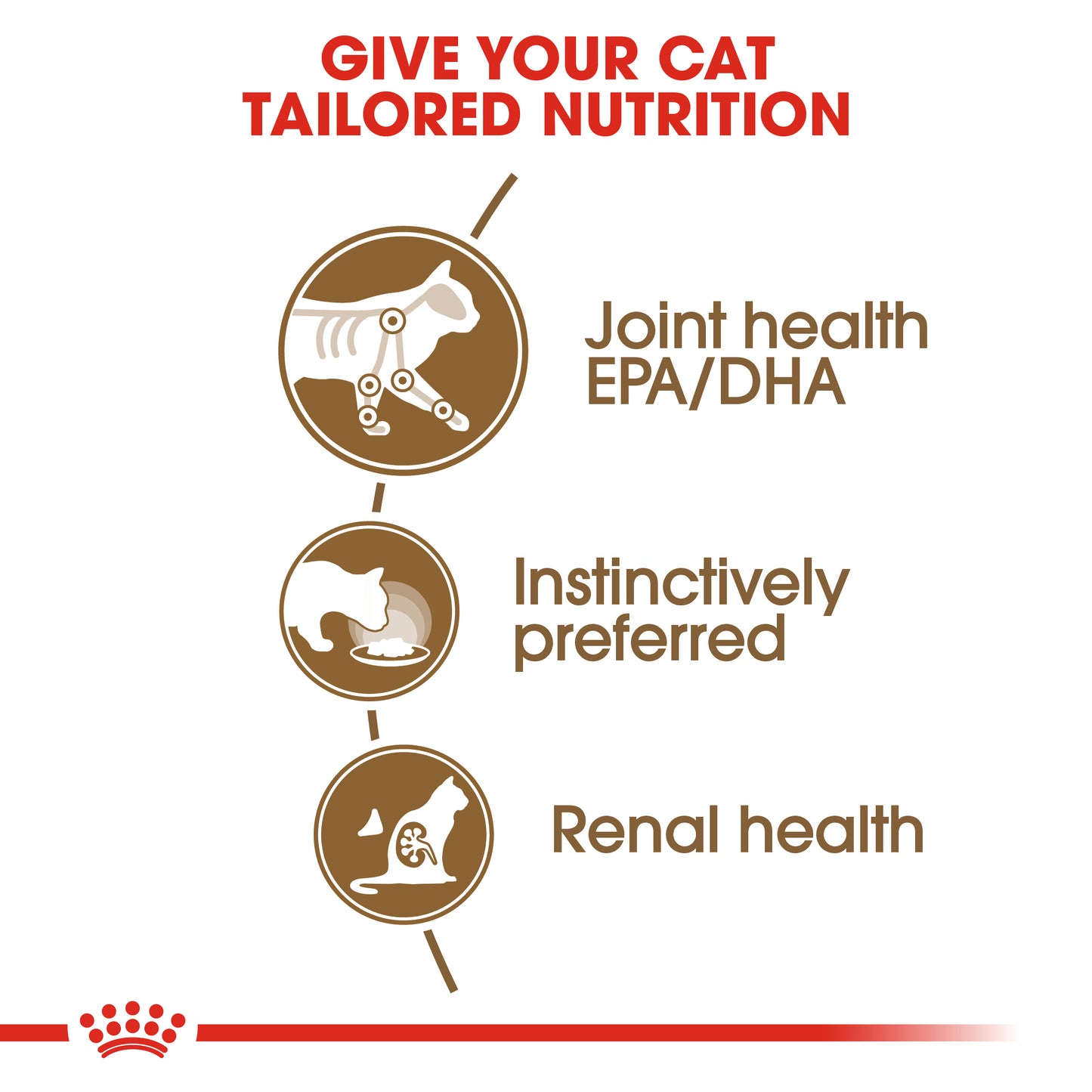 Royal Canin Ageing 12+ in Gravy Wet Cat Food Pouches 12 x 85g