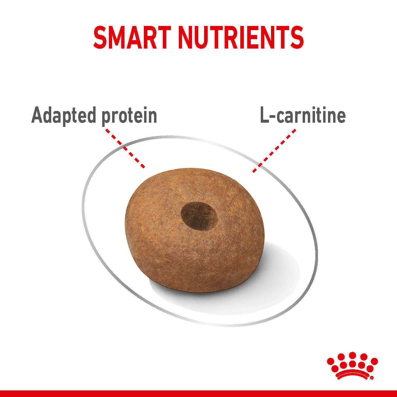 Royal Canin Medium Light Weight Care Dry Dog Food