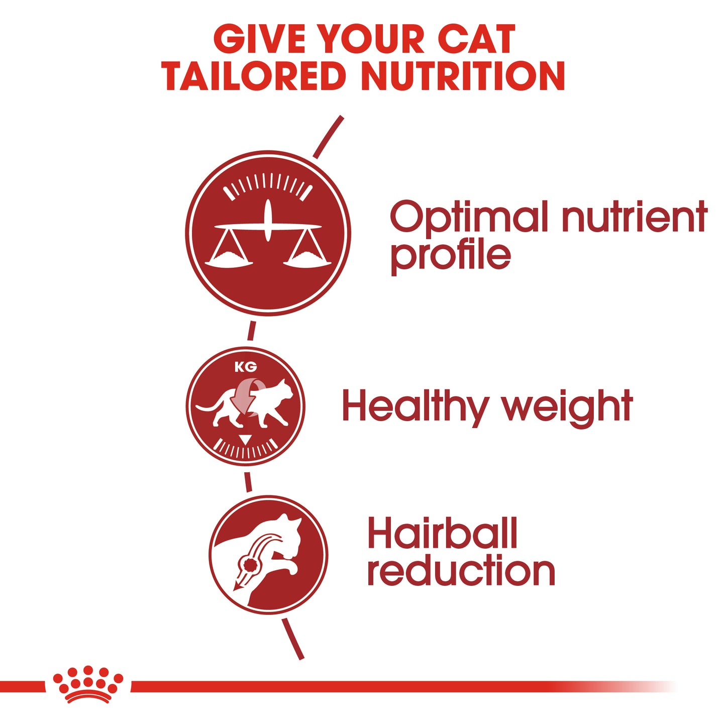 Royal Canin Fit 32 Dry Cat Food