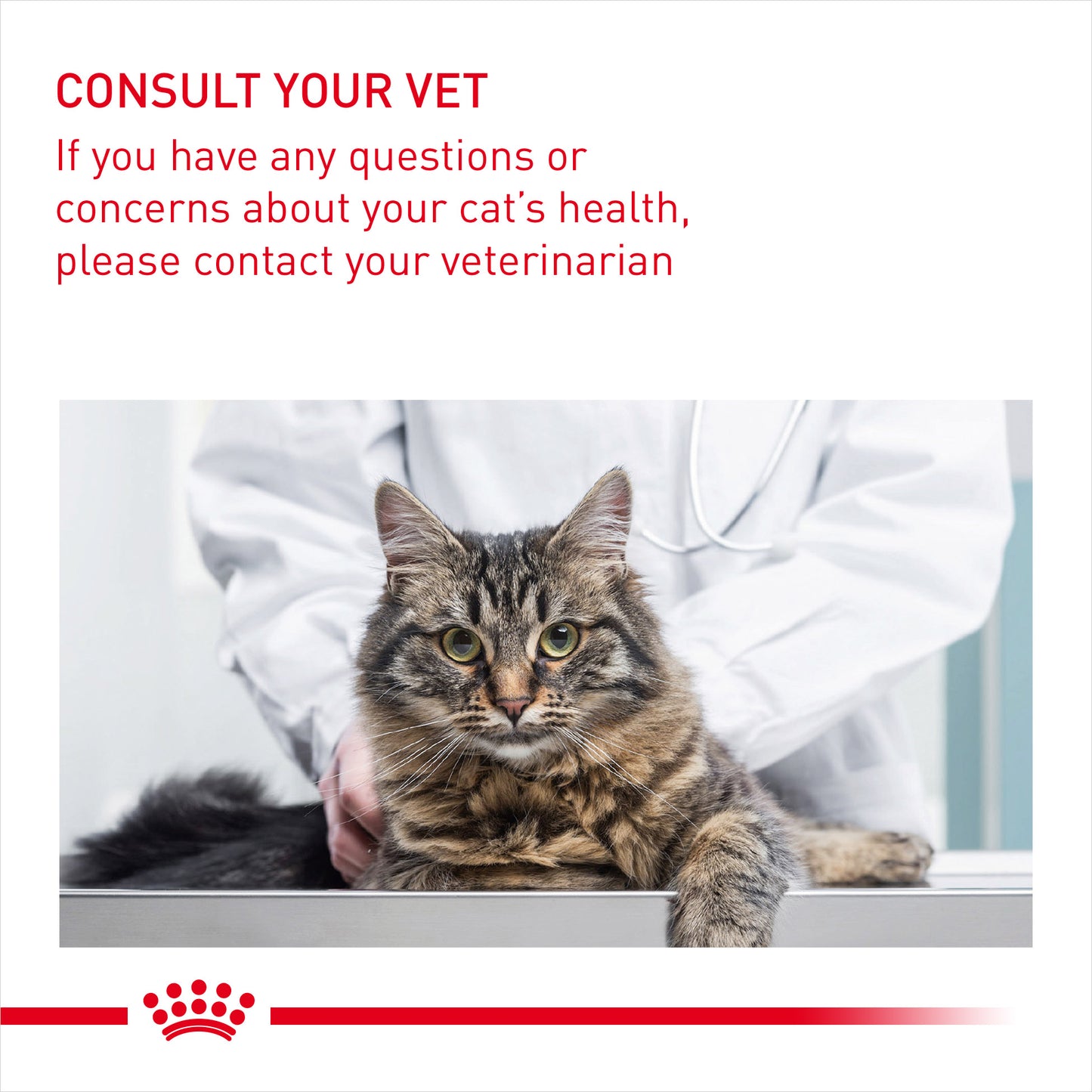 Royal Canin Hairball Care Dry Cat Food