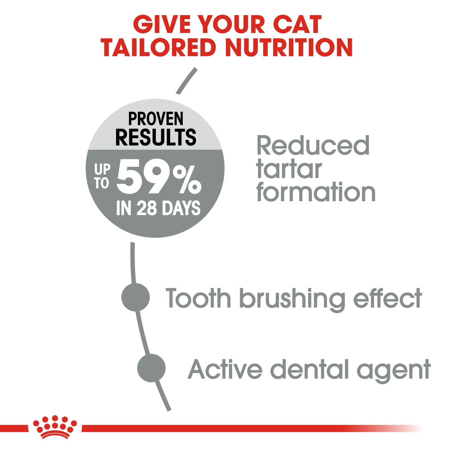 Royal Canin Oral Care Dry Cat Food