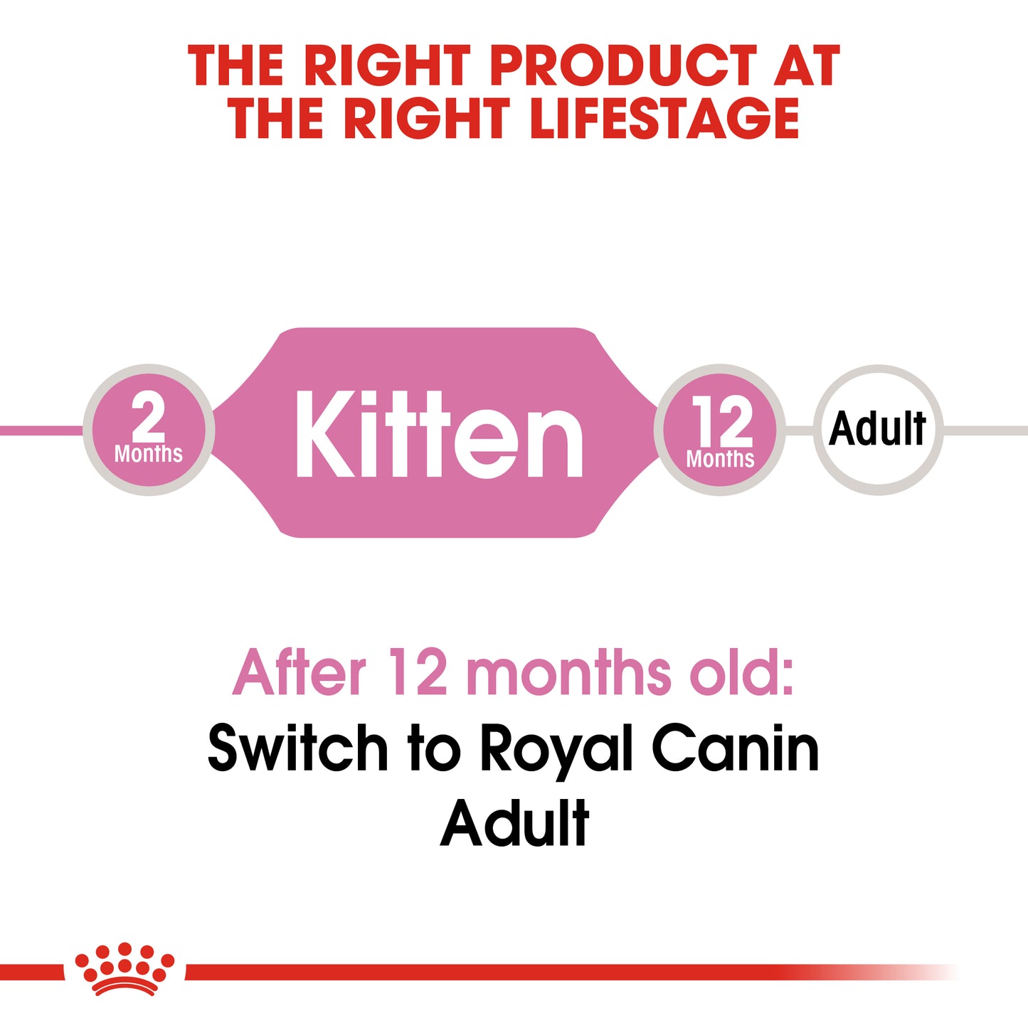 Royal Canin Kitten Dry Cat Food