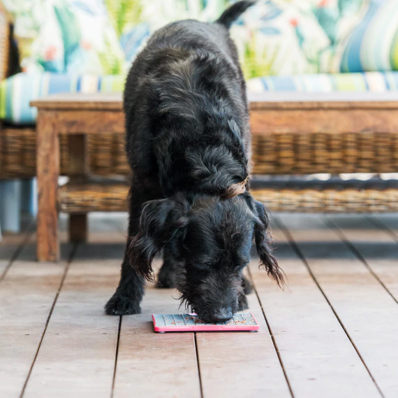 Lickimat Tuff Playdate Treat Mat