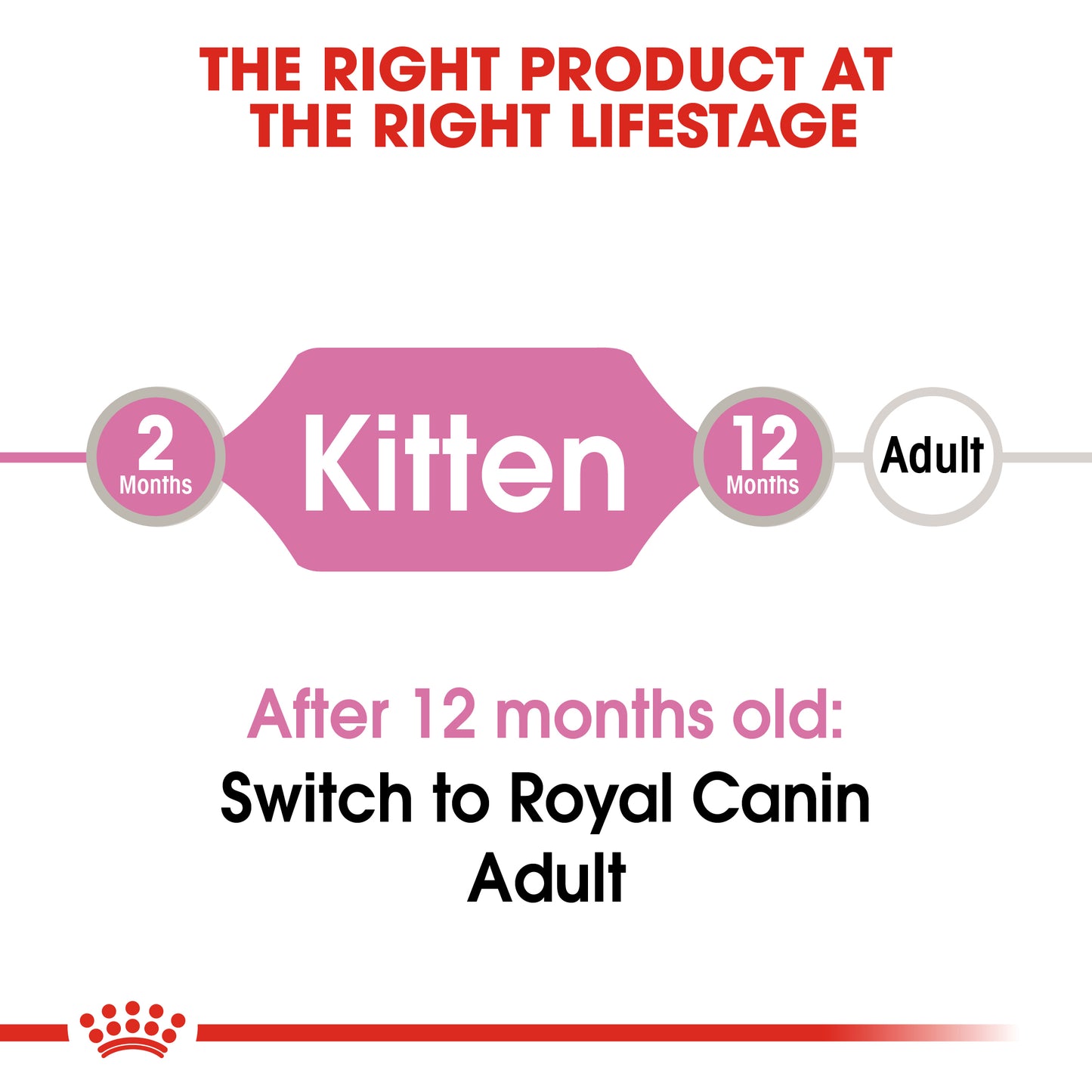 Royal Canin Kitten in Gravy 12x85g