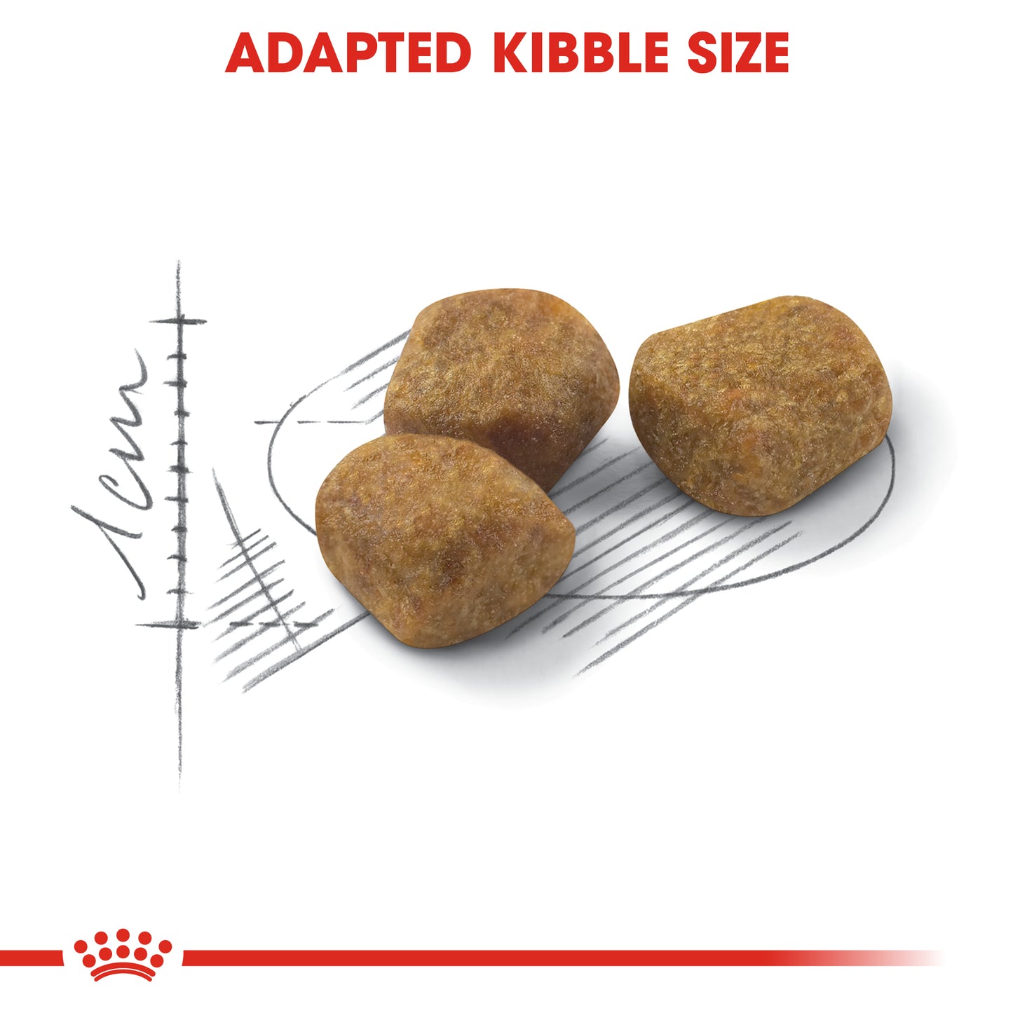 Royal Canin Fit 32 Dry Cat Food