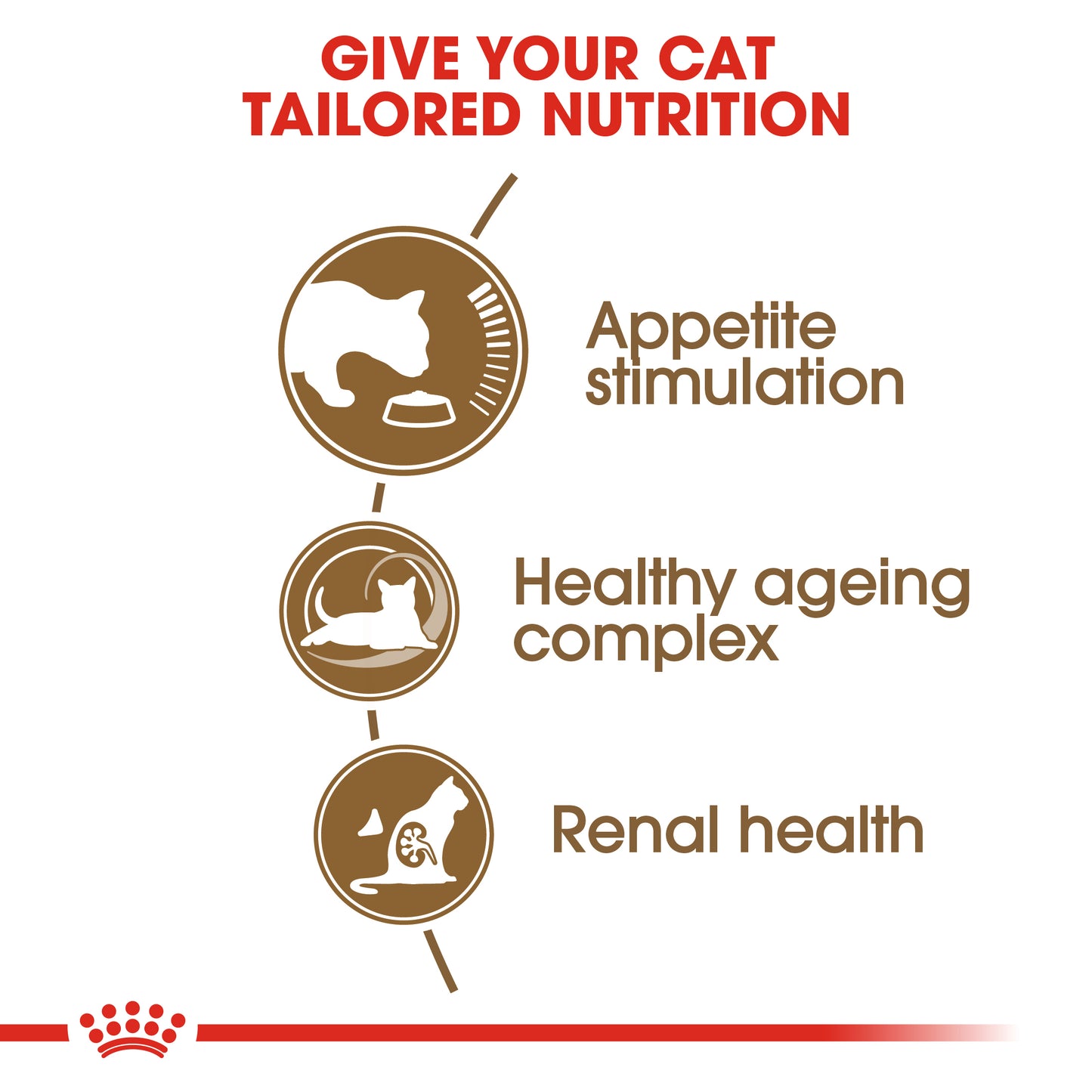 Royal Canin Ageing 12+ Dry Cat Food
