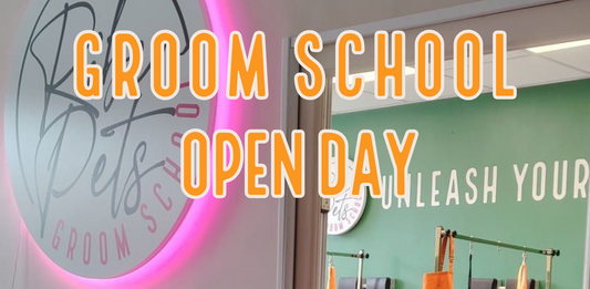 We Are Opening The Doors to Riber Pets Groom School for FREEEE ✨