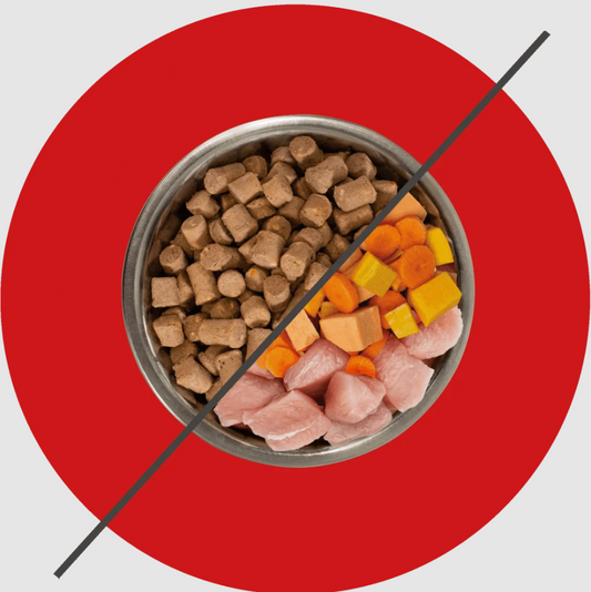 The Difference Between Freeze Dried and Raw Dog Food