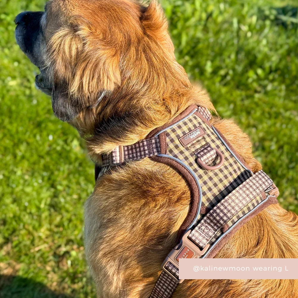 Cocopup London Explore Cotswolds Check Dog Harness