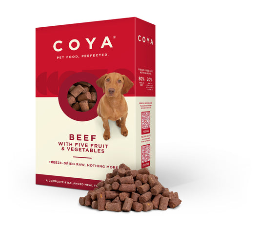 Coya Adult Freeze Dried Dog Food Beef