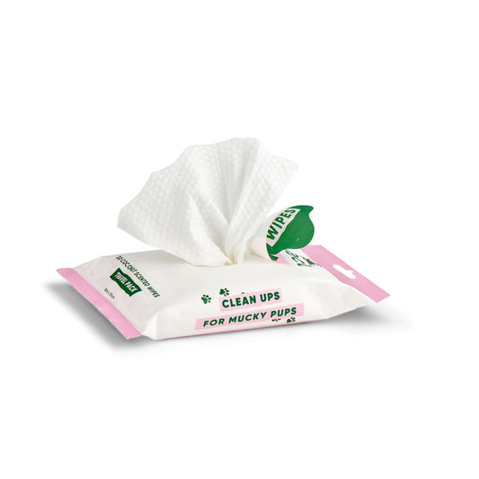 Beco Bamboo Travel Wipes Coconut Scented 20 Pack