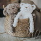 My Dog White Bear Separation and Anxiety Crinkle Toy