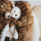 My Dog White Bear Separation and Anxiety Crinkle Toy