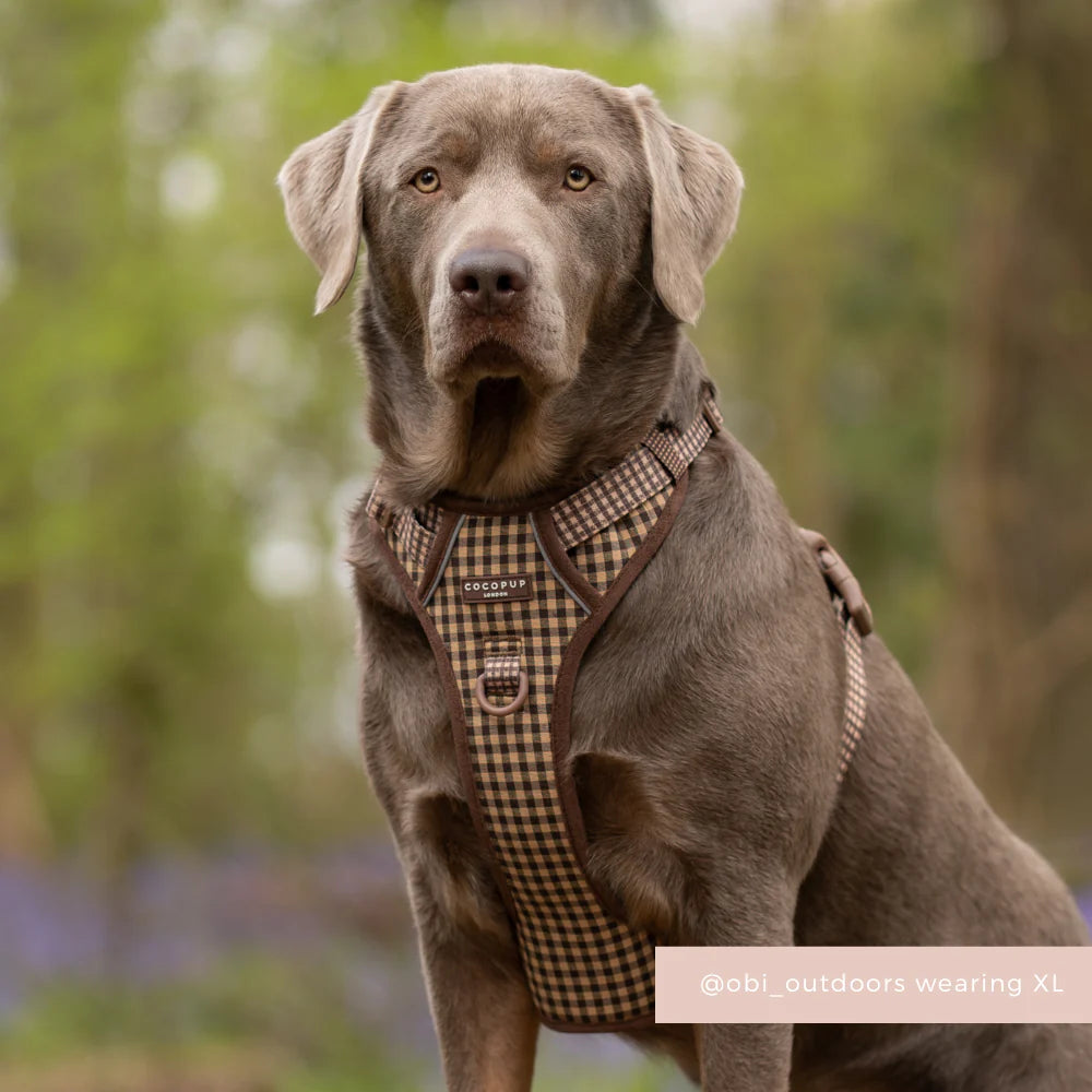 Cocopup London Explore Cotswolds Check Dog Harness