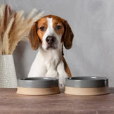 Scruffs Scandi Non Tip Bowl Grey