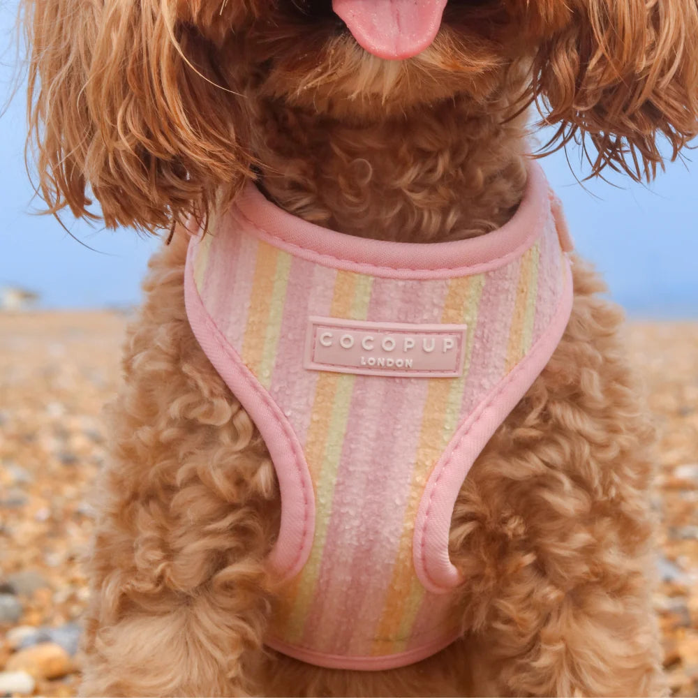 Cocopup London Pastel Stripes Adjustable Neck Dog Harness