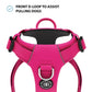 BullyBillows Air Mesh Dog Harness - Anti-Pull, With Handle, Non Restrictive & Adjustable Carminerose