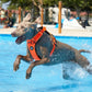 BullyBillows Air Mesh Dog Harness - Anti-Pull, With Handle, Non Restrictive & Adjustable Orangw