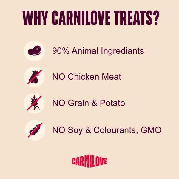 Carnilove Jerky Beef Fillet Dog Treats 100g