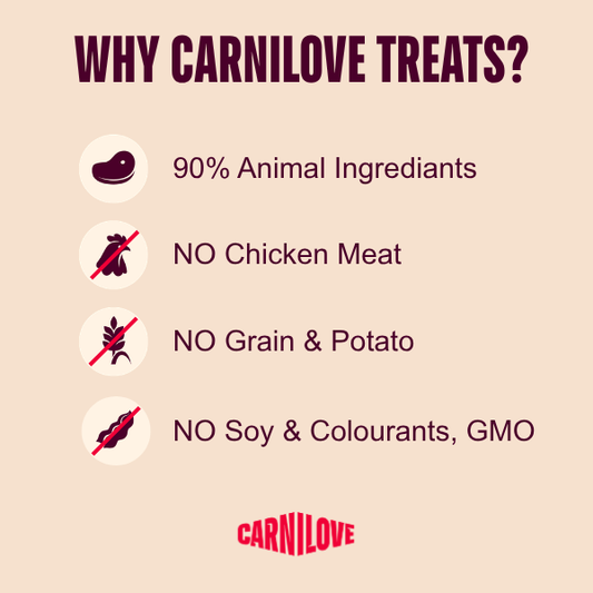 Carnilove Jerky Beef Fillet Dog Treats 100g