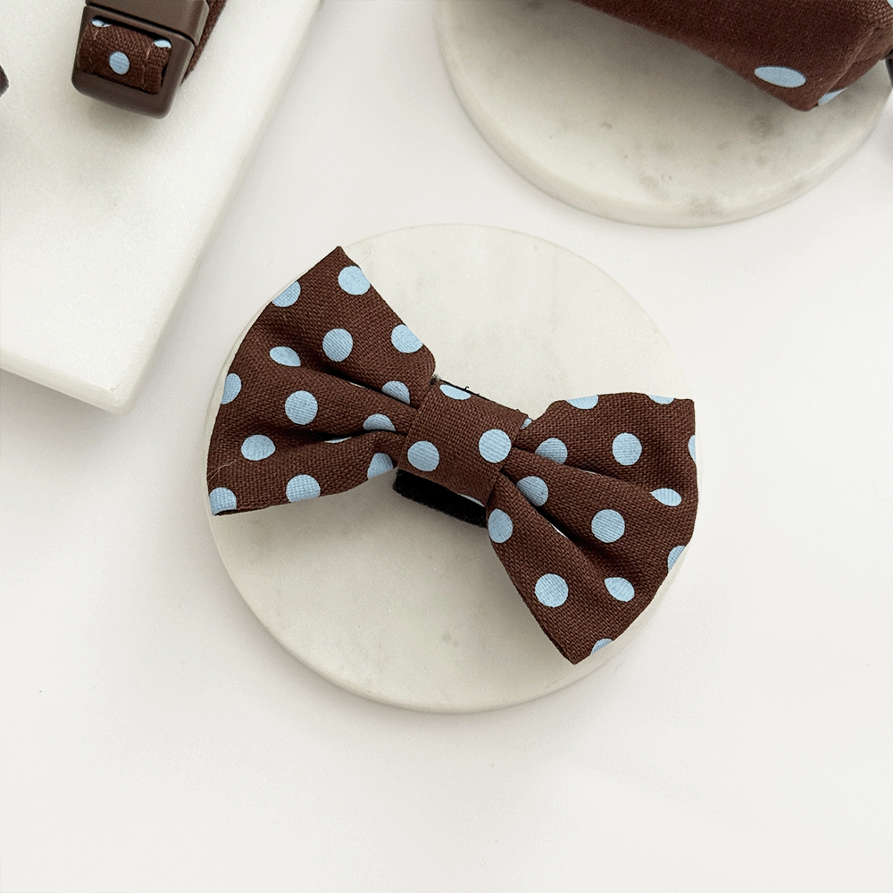 Cocopup London Biscotti Blue Dog Bow Tie