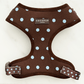 Cocopup London Explore Biscotti Blue Dog Harness