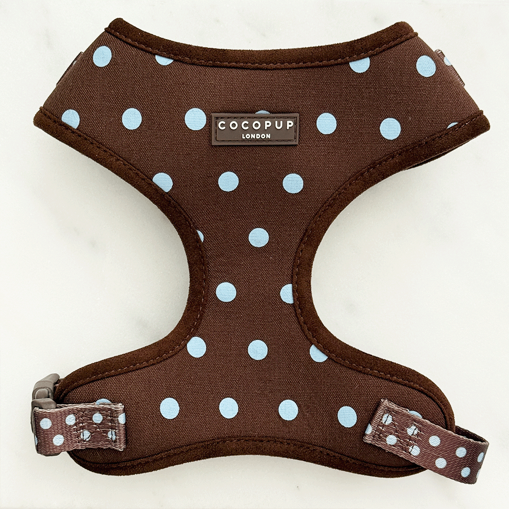 Cocopup London Explore Biscotti Blue Dog Harness